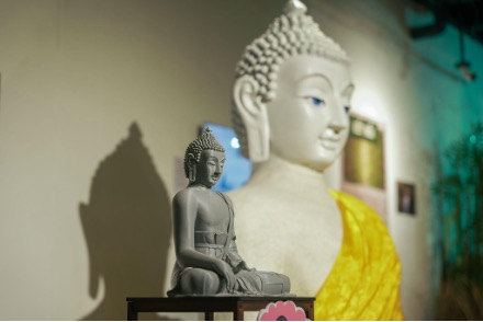 Museum Exhibition